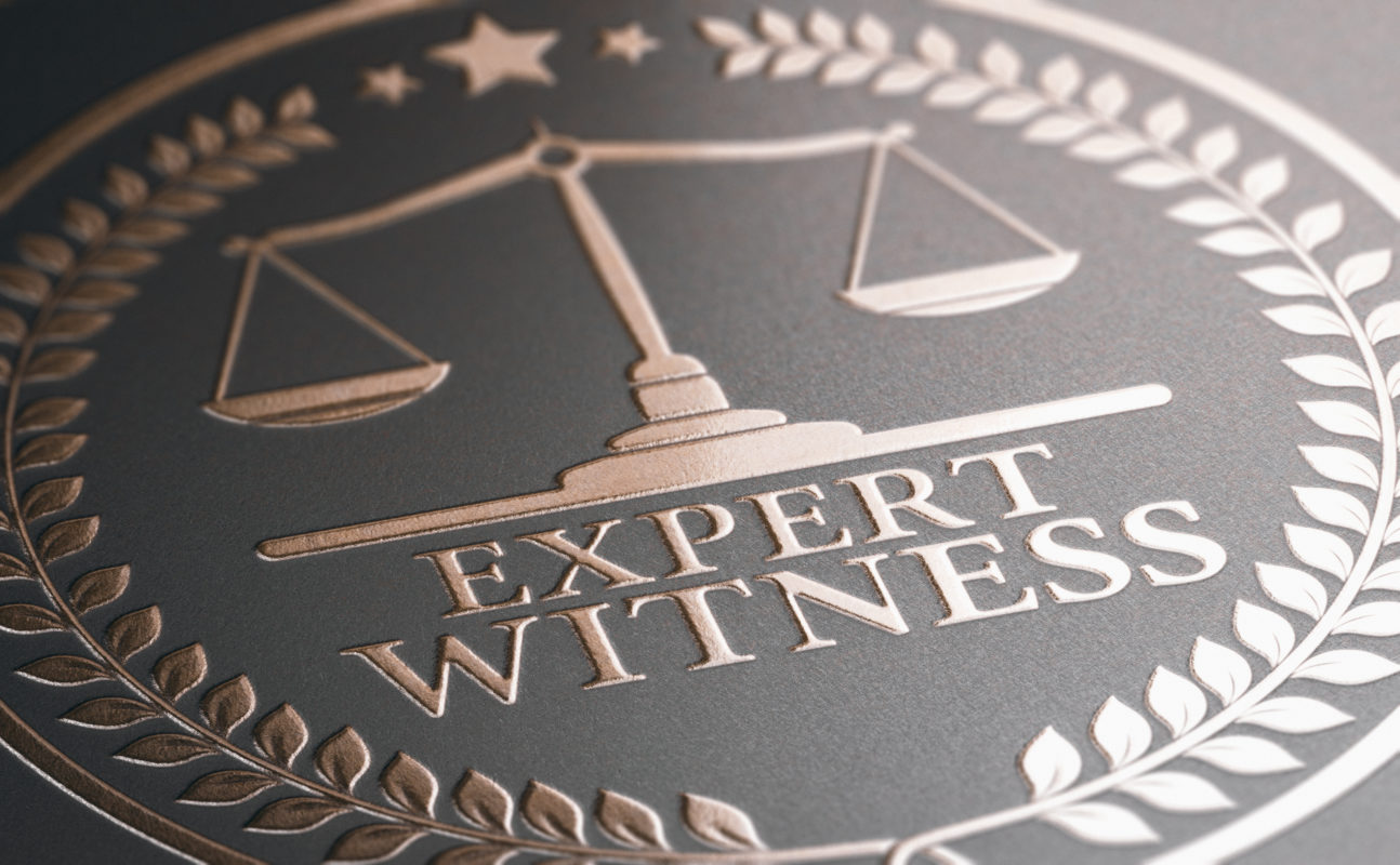 define expert witness