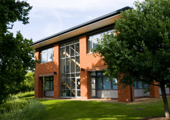 Trees subsidence structural engineers