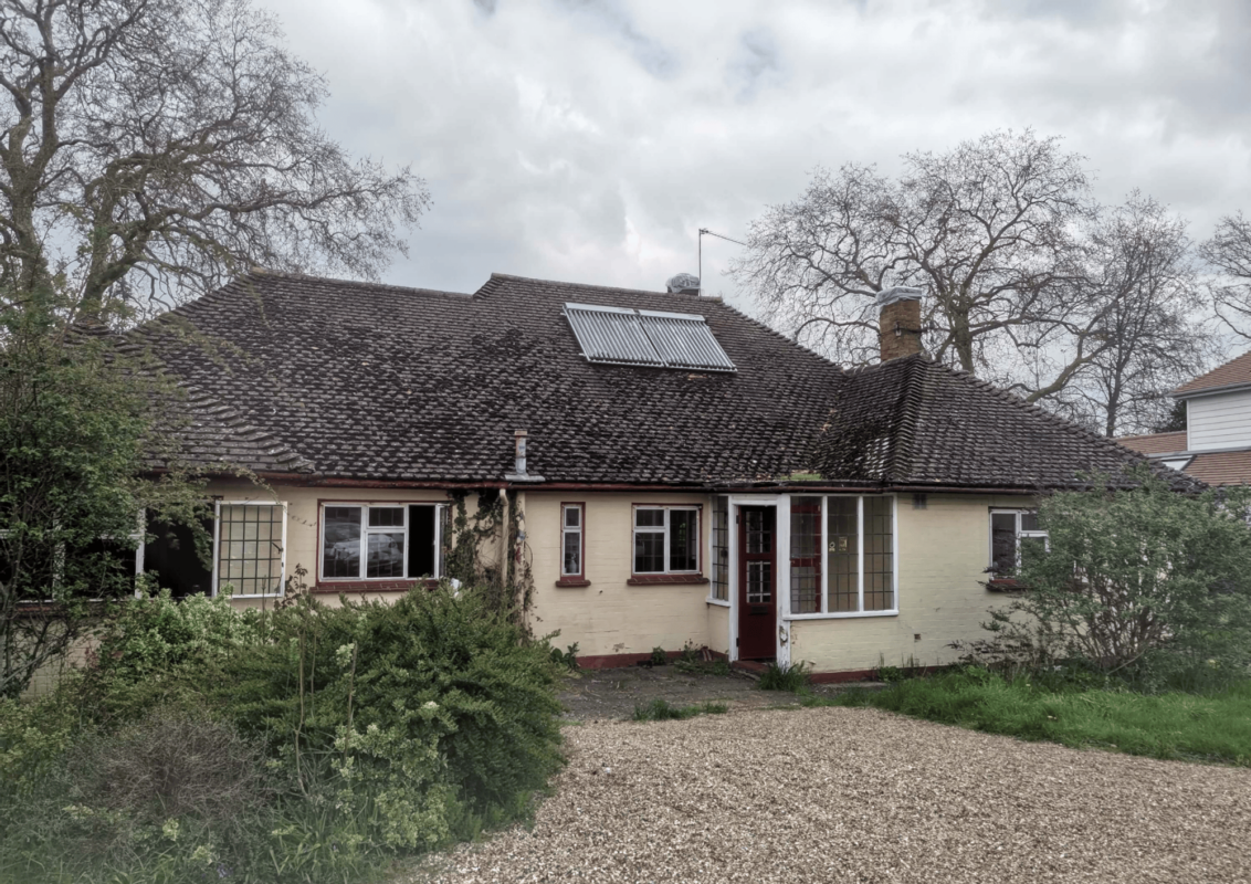 Structural Engineers Can Help Save Trees in Subsidence Disputes