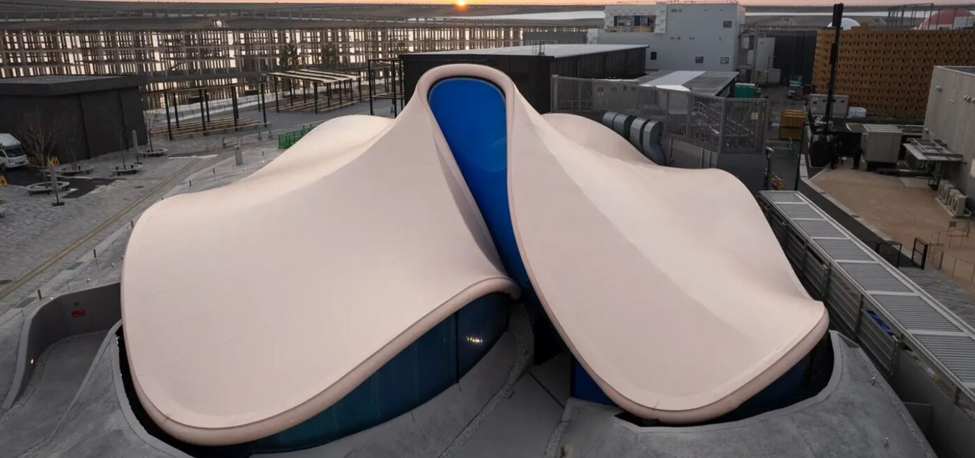 dynamic equilibrium of life